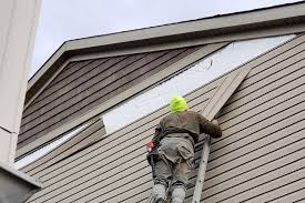 Best Siding for New Construction  in Edneyville, NC